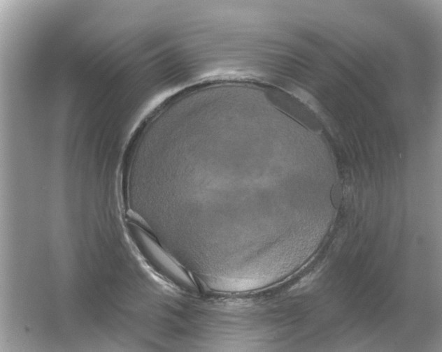 X0000063531030200602172237