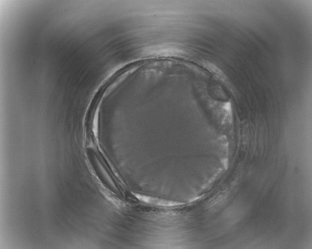 X0000063531031200602172237