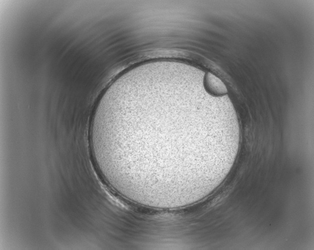 X0000063531033200602172237