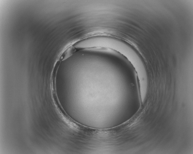 X0000063531034200602172237