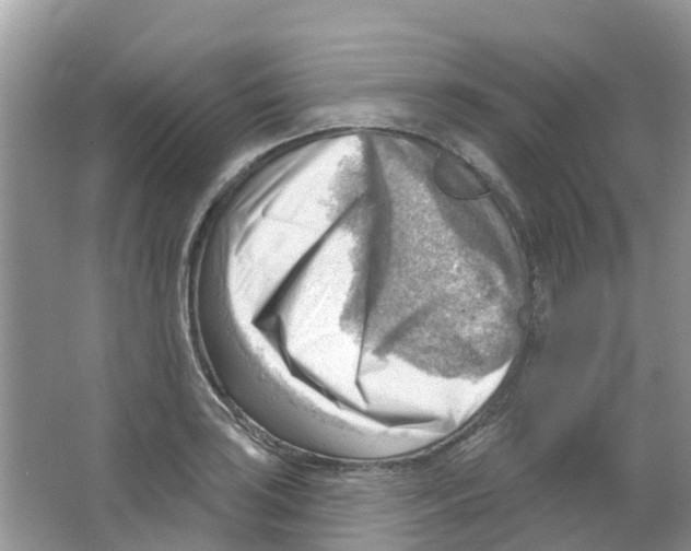 X0000063531035200602172237