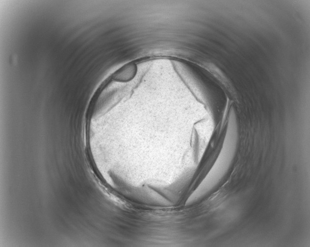 X0000063531036200602172237