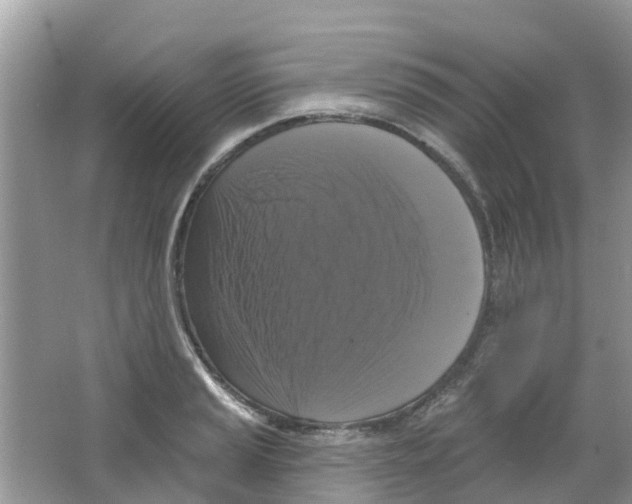 X0000063531037200602172237