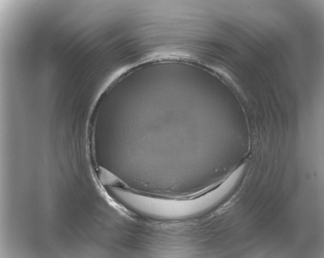 X0000063531038200602172237