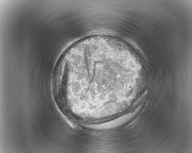 X0000063531040200602172237