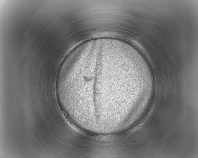 X0000063531041200602172237