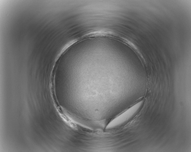 X0000063531042200602172237