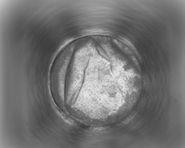 X0000063531043200602172237