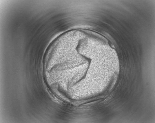 X0000063531044200602172237