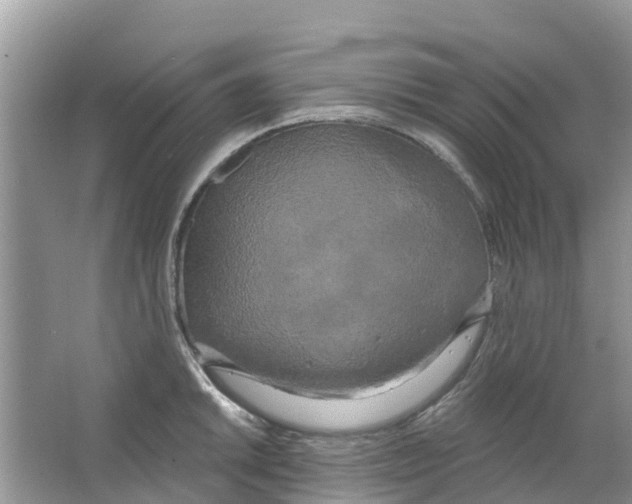 X0000063531046200602172237