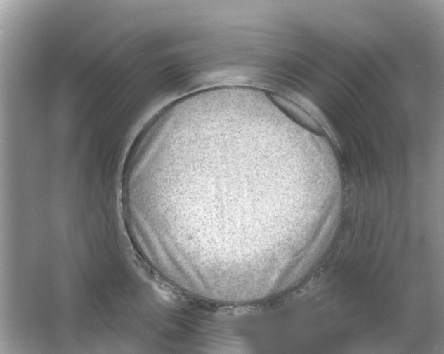 X0000063531051200602172237