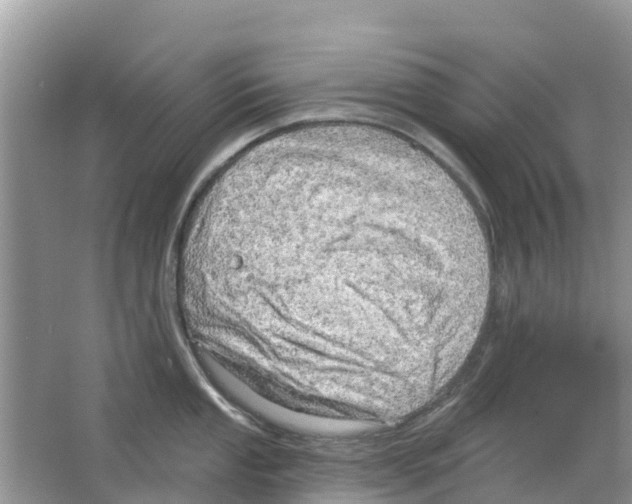 X0000063531053200602172237