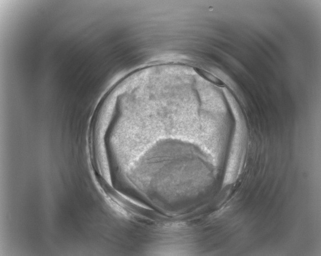 X0000063531055200602172237