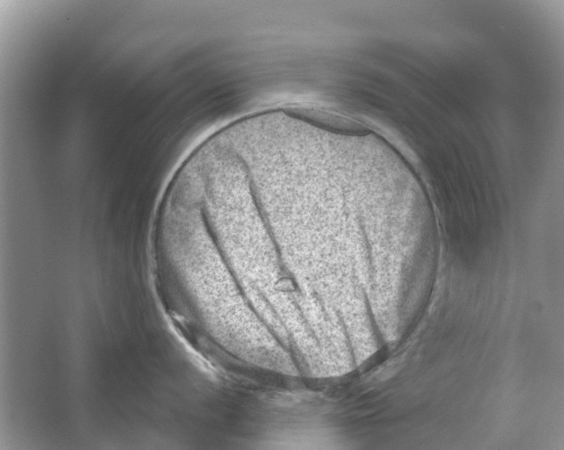 X0000063531056200602172237