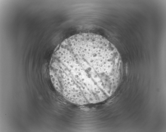 X0000063531059200602172236