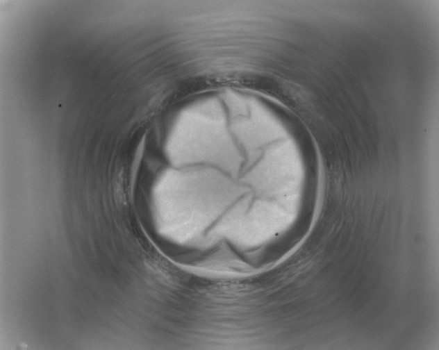 X0000063531060200602172236