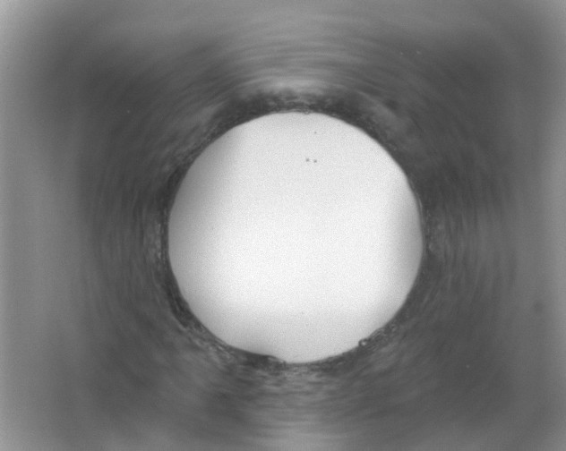 X0000063531061200602172236