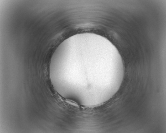 X0000063531062200602172236