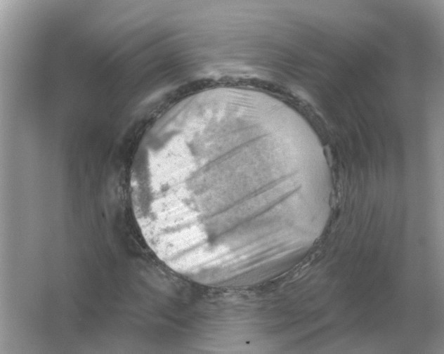 X0000063531063200602172236