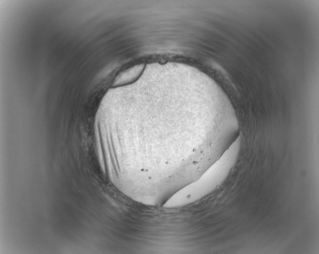 X0000063531064200602172236