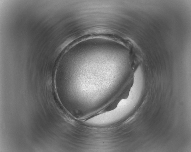 X0000063531065200602172236