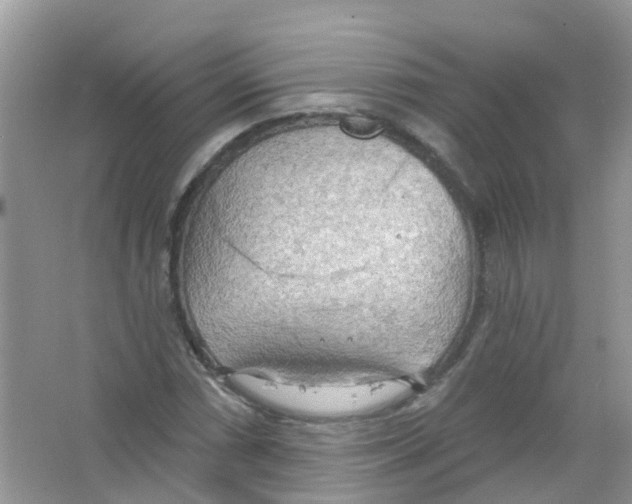 X0000063531066200602172236