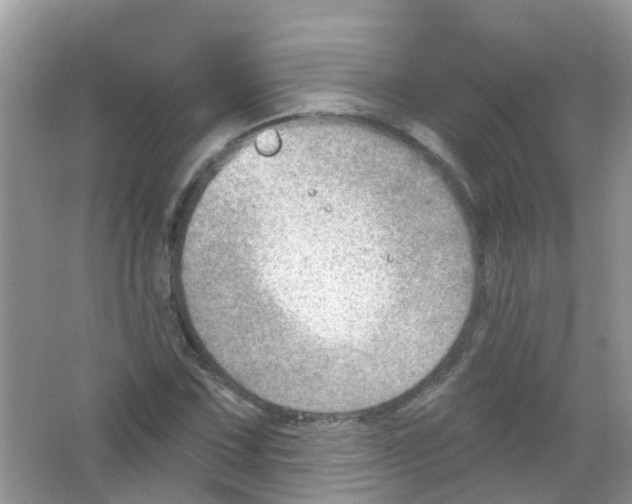 X0000063531067200602172236