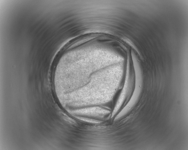 X0000063531068200602172236