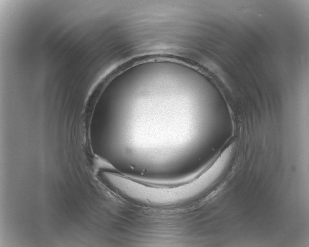 X0000063531069200602172236