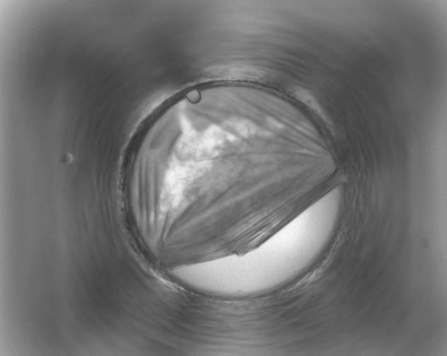 X0000063531071200602172236