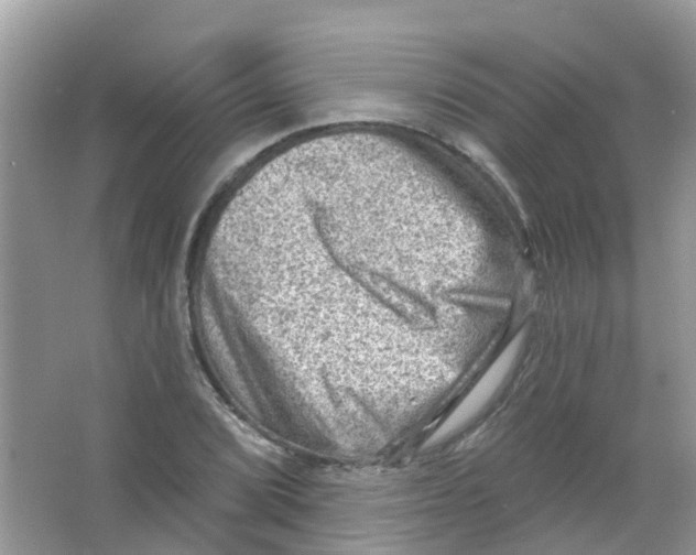 X0000063531072200602172236