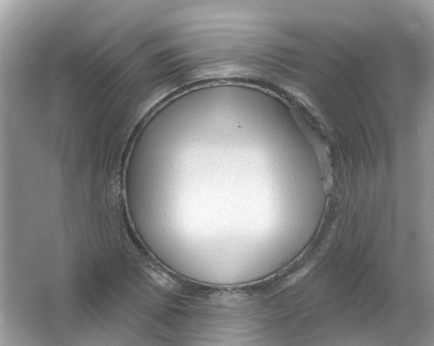 X0000063531073200602172236