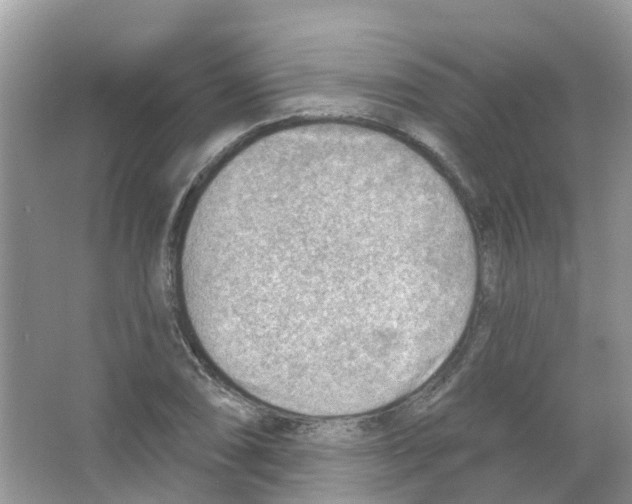 X0000063531074200602172236