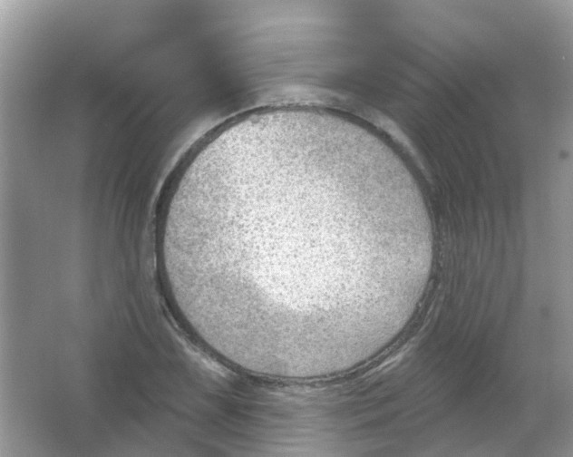 X0000063531075200602172236