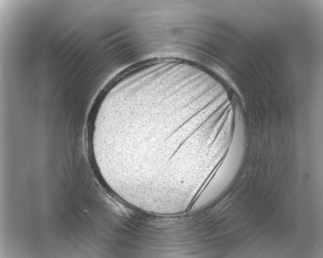 X0000063531076200602172236