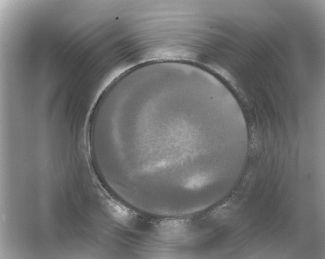 X0000063531078200602172236