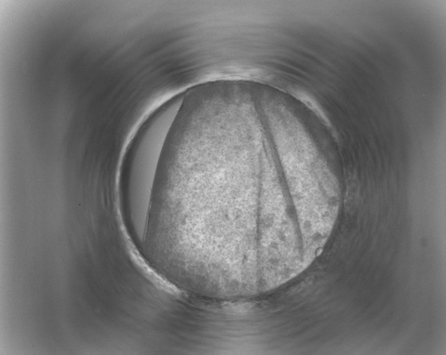 X0000063531080200602172236