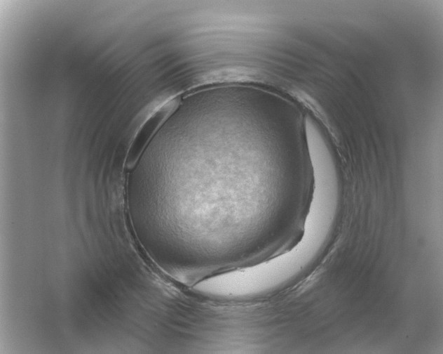 X0000063531081200602172236