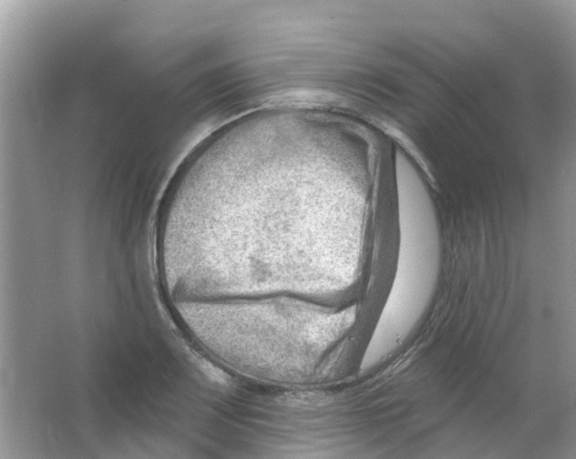 X0000063531083200602172236