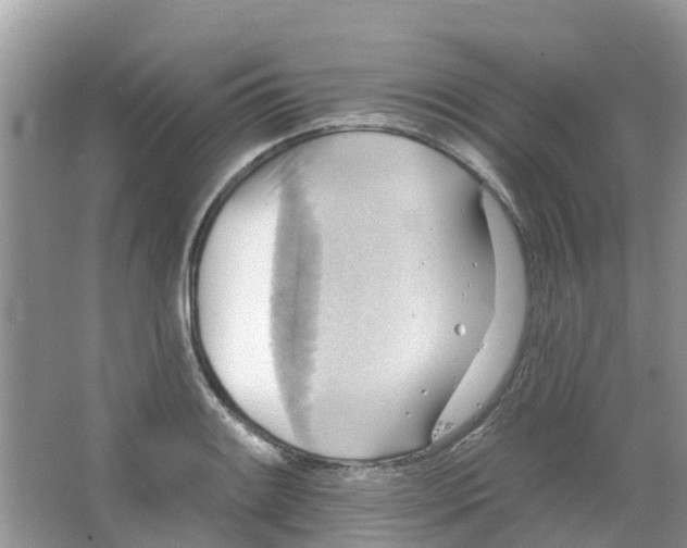 X0000063531084200602172236