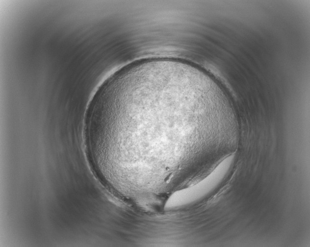 X0000063531085200602172236