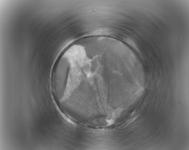 X0000063531087200602172236