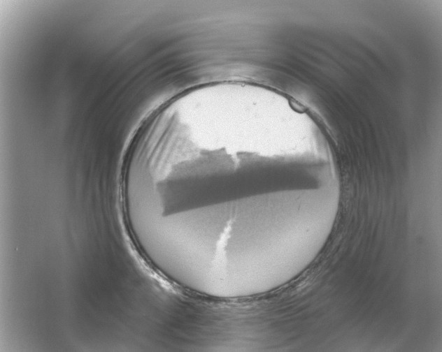 X0000063531088200602172236