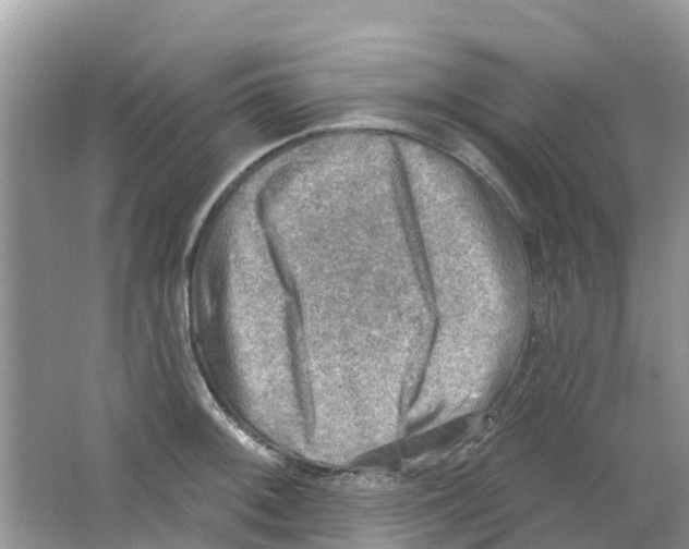 X0000063531092200602172236