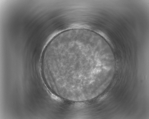 X0000063531094200602172236