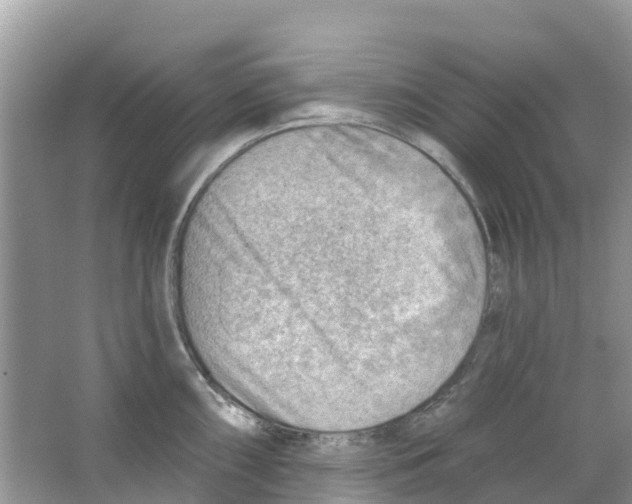 X0000063531098200602172236