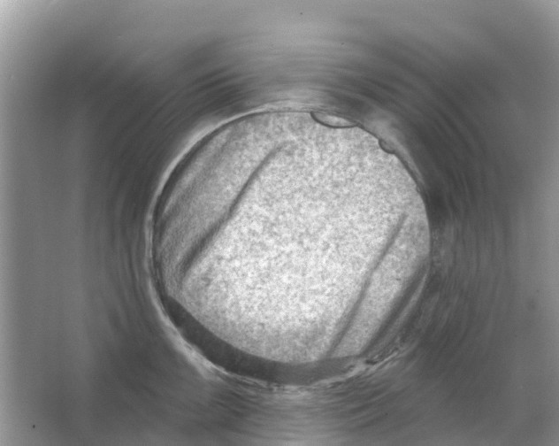 X0000063531099200602172236