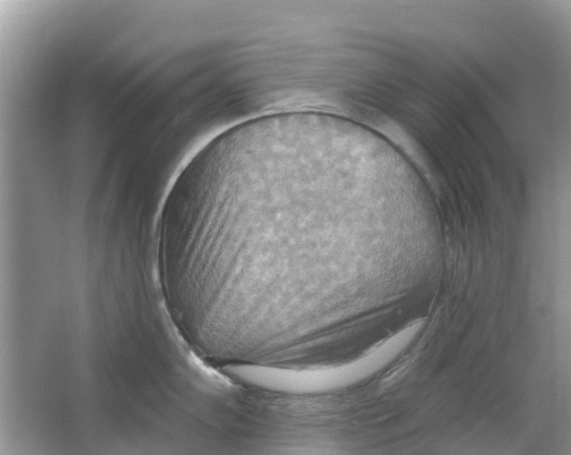 X0000063531102200602172236