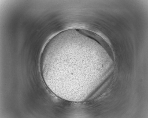 X0000063531104200602172236