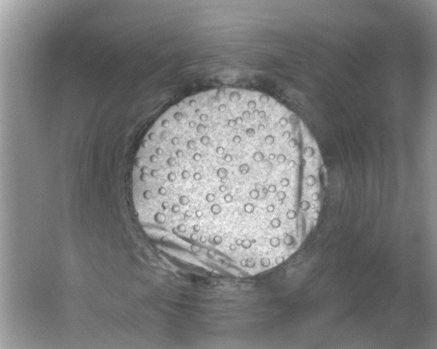 X0000063531105200602172235